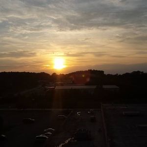 Meet your Posher, Sonny